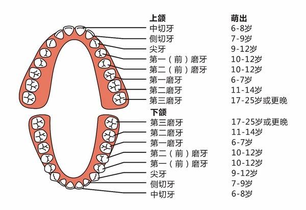 牙痛就要拔?这些智齿才要拔 深圳透明矫正 - 生活 -